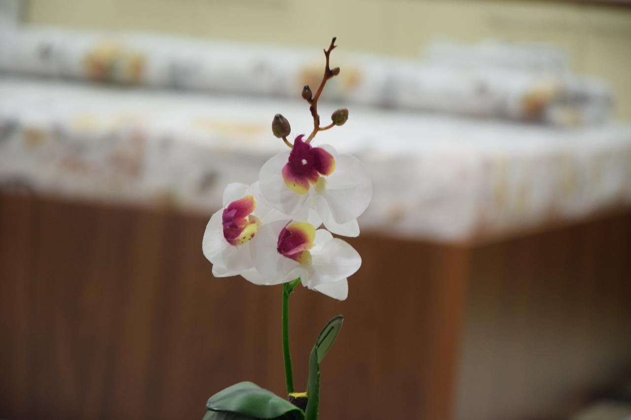 Guest House Agropapuk Šid 외부 사진